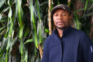 Picture of Expositor/a